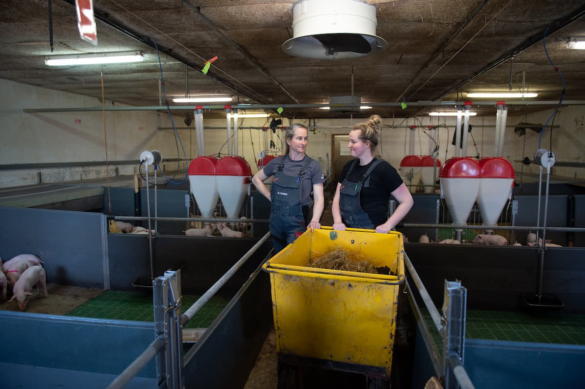 Landbrugsmotiv fra mark